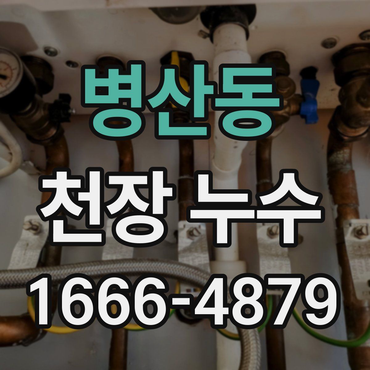 병산동 천장 누수