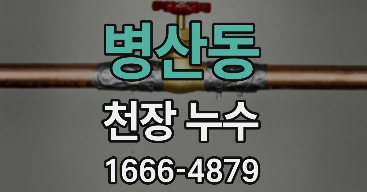 병산동 천장 누수