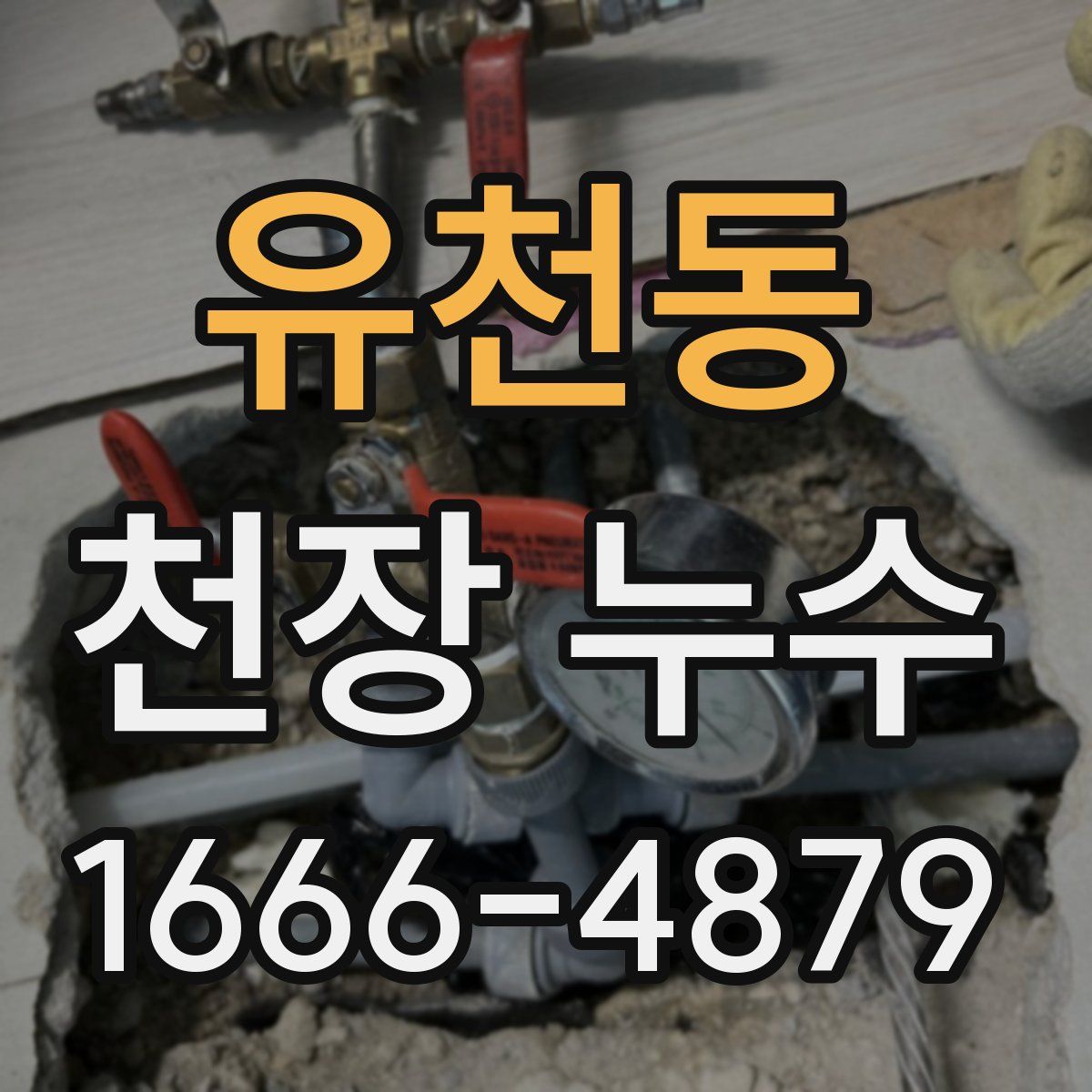유천동 천장 누수
