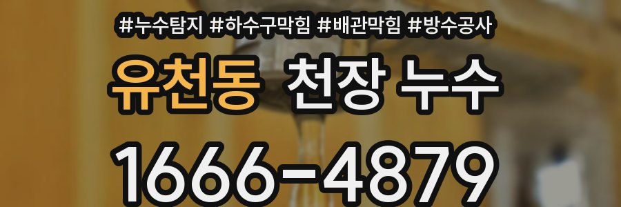 유천동 천장 누수