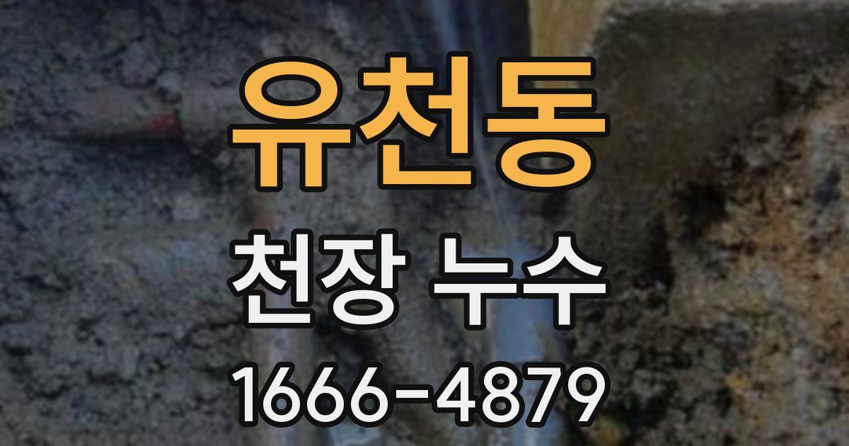유천동 천장 누수