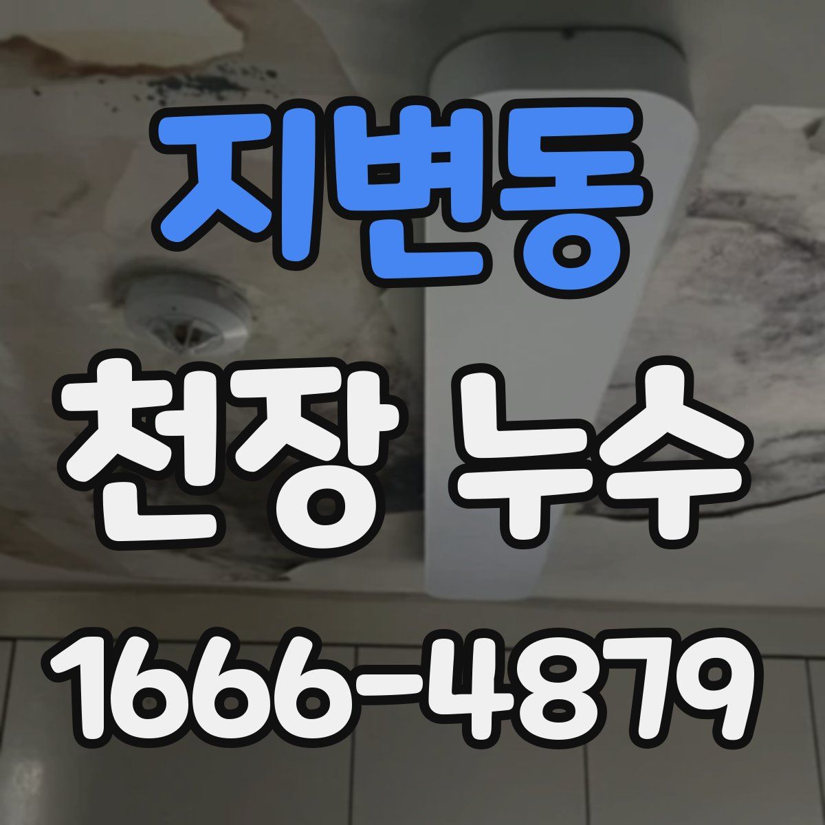 지변동 천장 누수