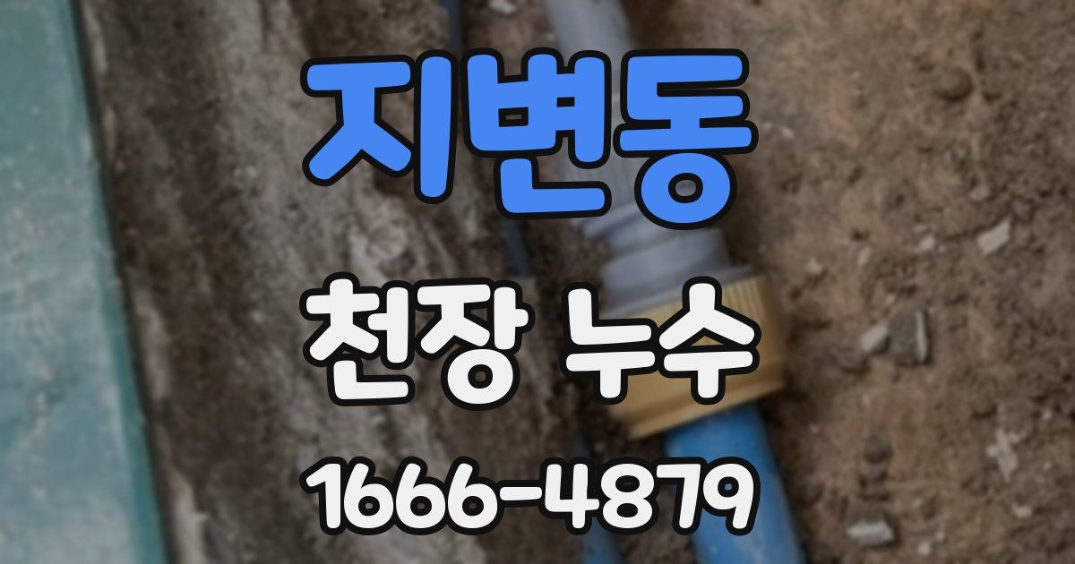 지변동 천장 누수