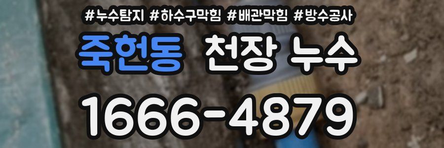 죽헌동 천장 누수