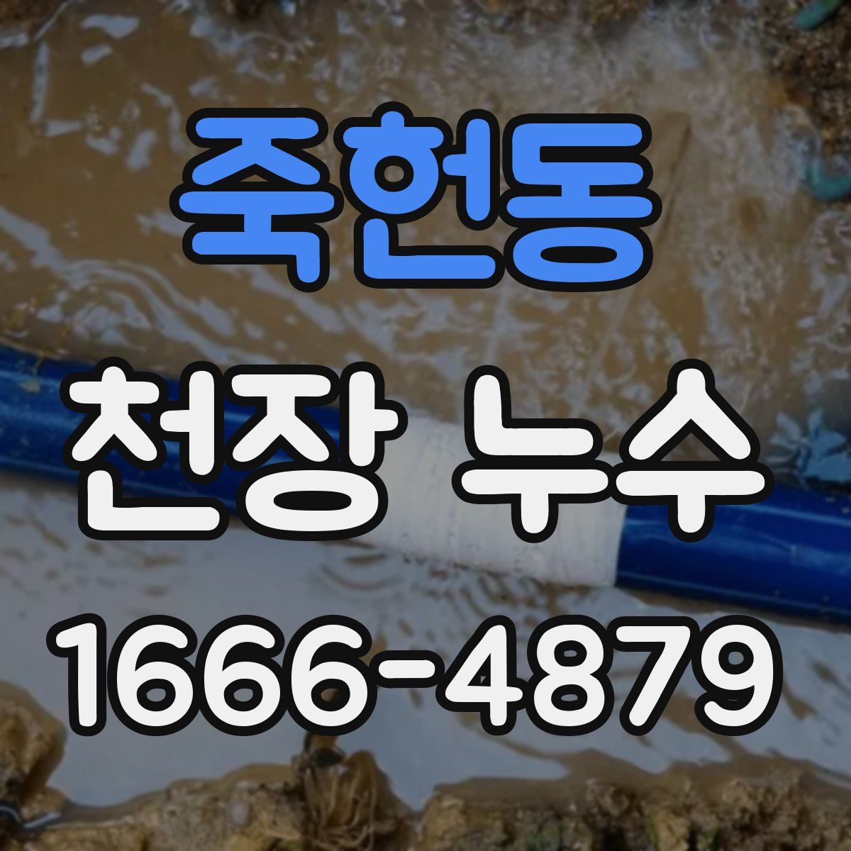 죽헌동 천장 누수
