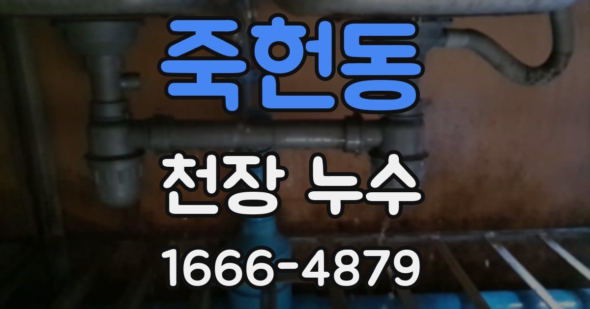 죽헌동 천장 누수