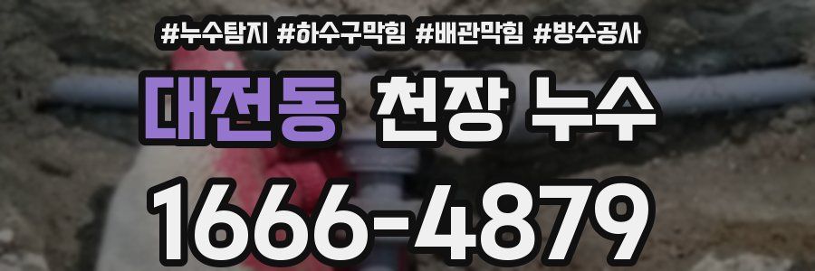 대전동 천장 누수
