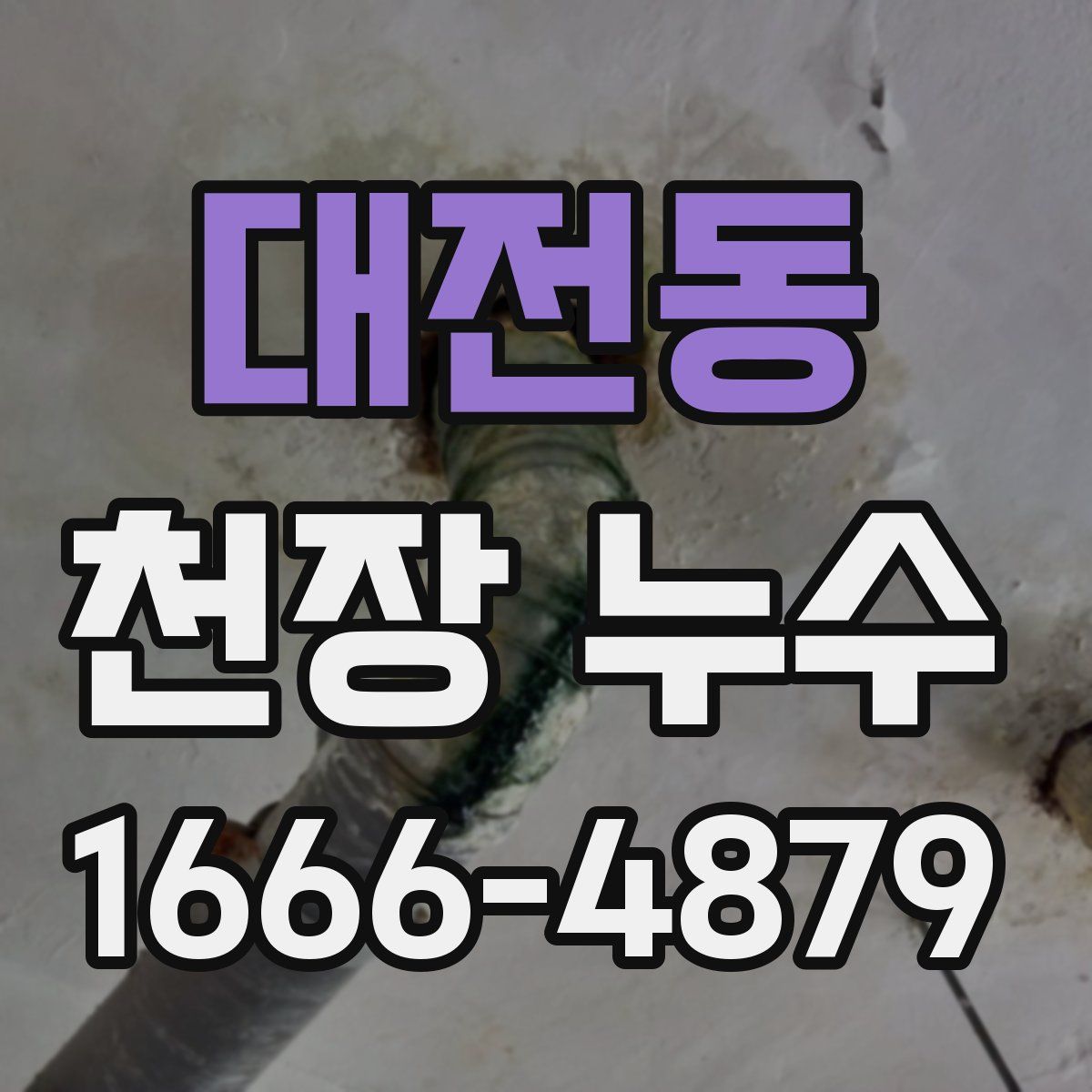 대전동 천장 누수
