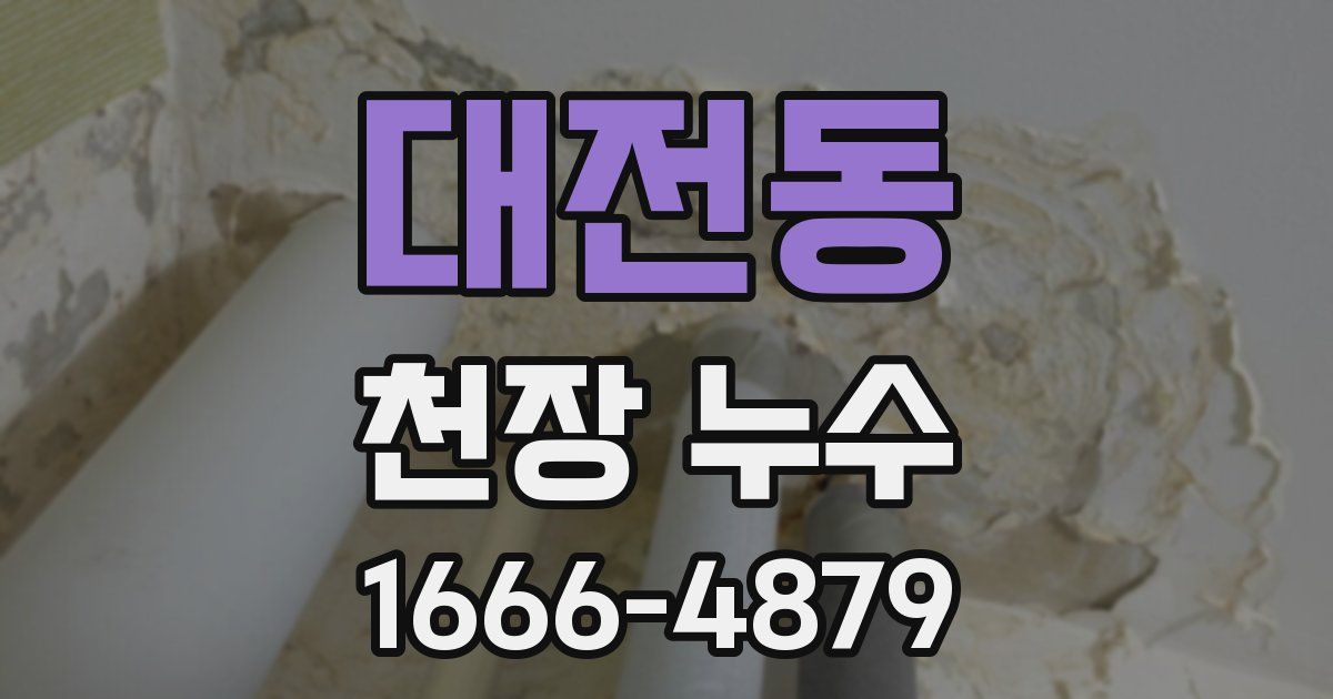 대전동 천장 누수