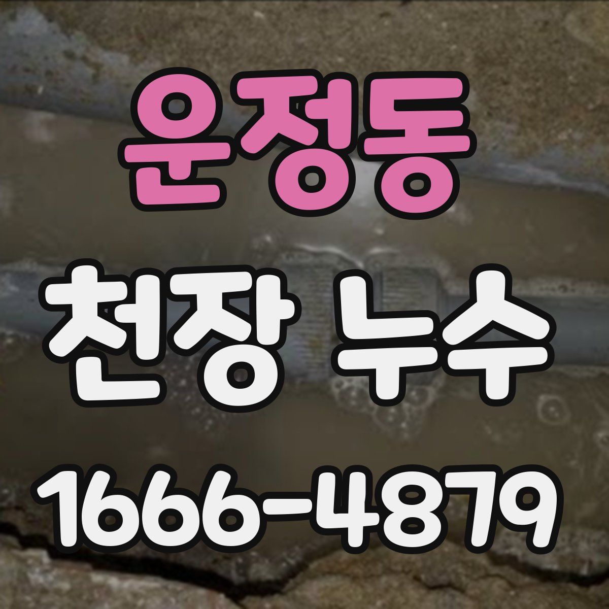 운정동 천장 누수