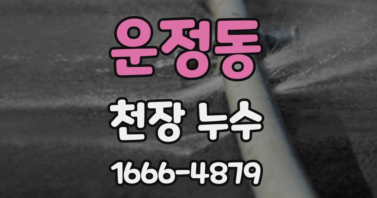 운정동 천장 누수