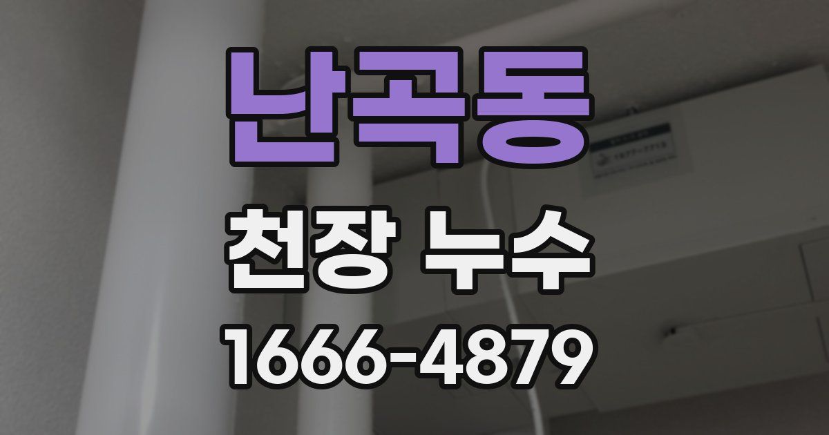 난곡동 천장 누수