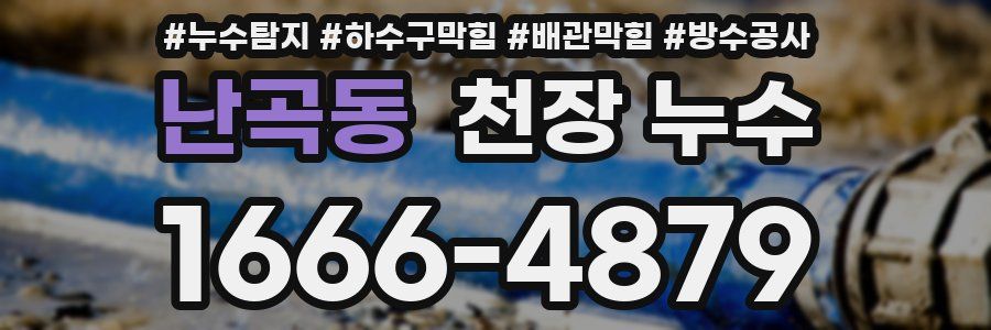 난곡동 천장 누수