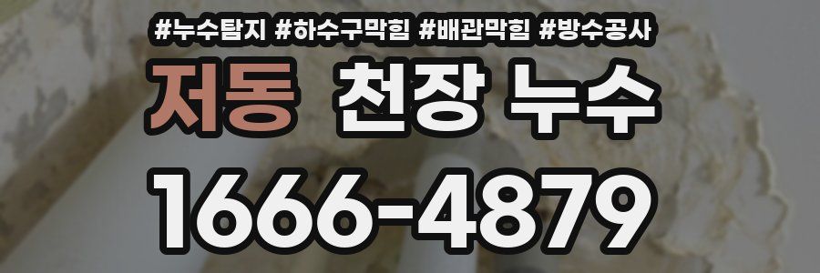 저동 천장 누수