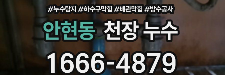안현동 천장 누수