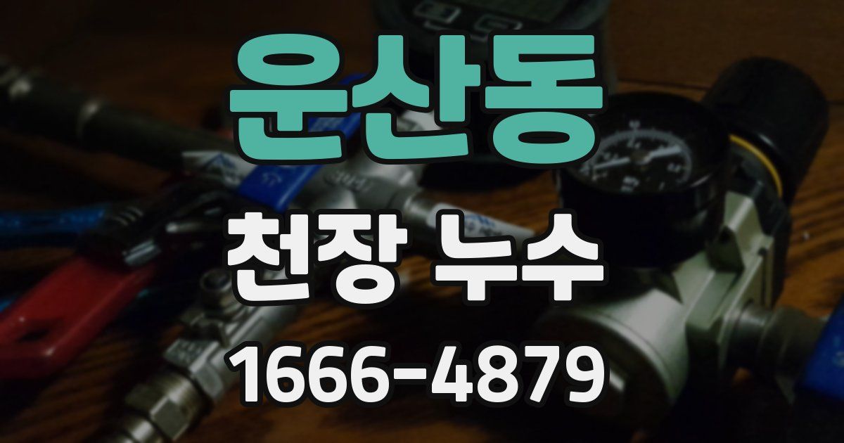 운산동 천장 누수