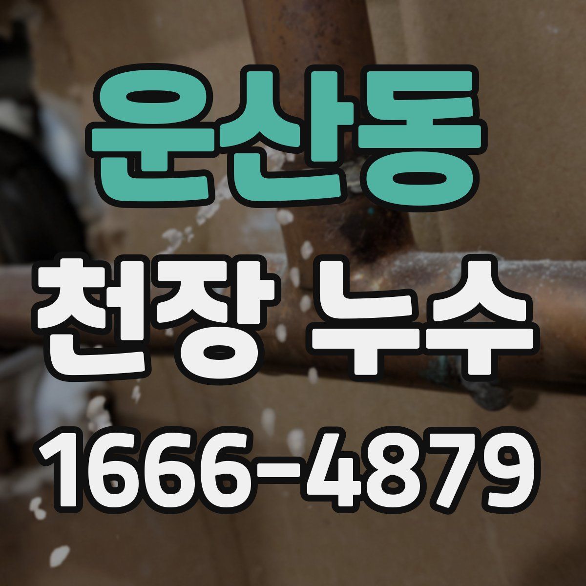 운산동 천장 누수