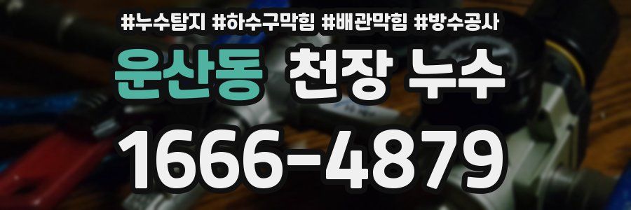 운산동 천장 누수