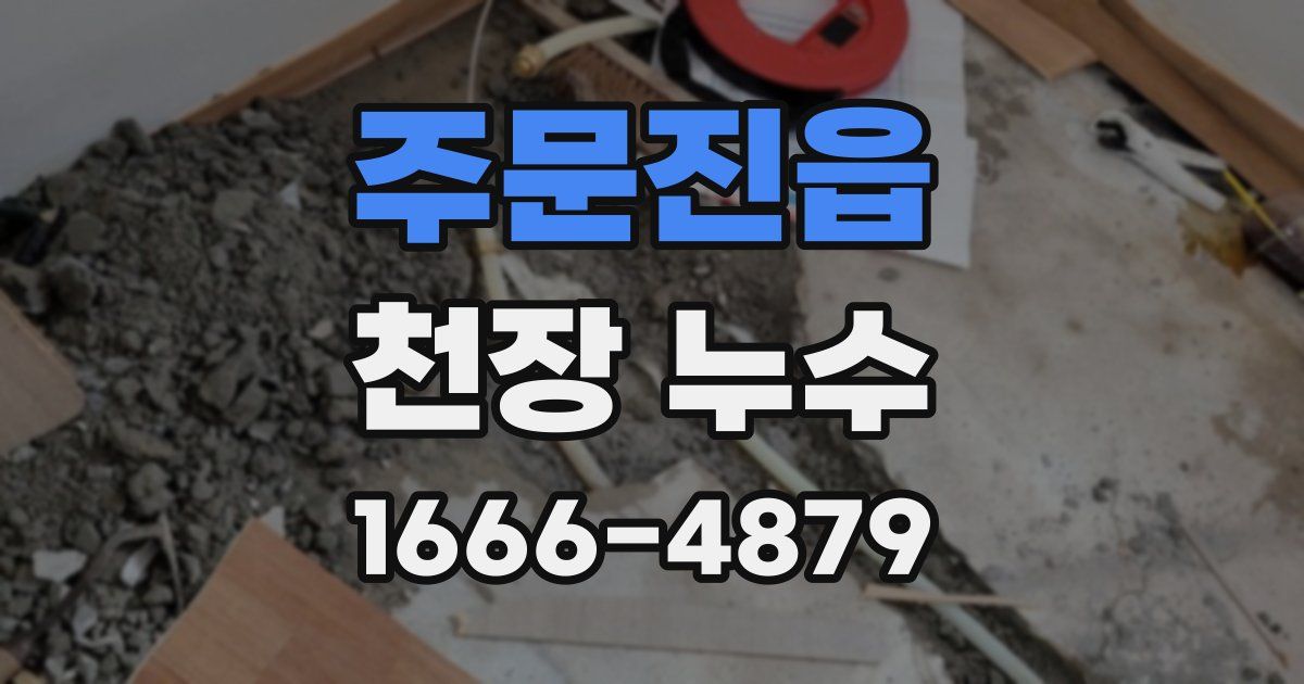 주문진읍 천장 누수