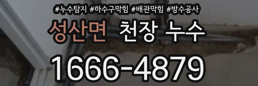 성산면 천장 누수
