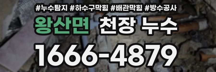 왕산면 천장 누수