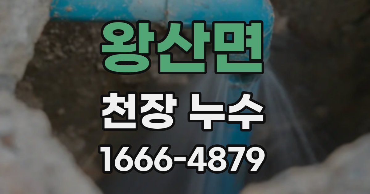 왕산면 천장 누수