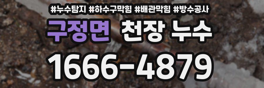 구정면 천장 누수