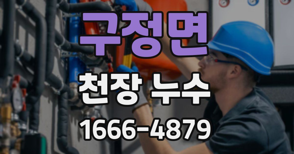 구정면 천장 누수