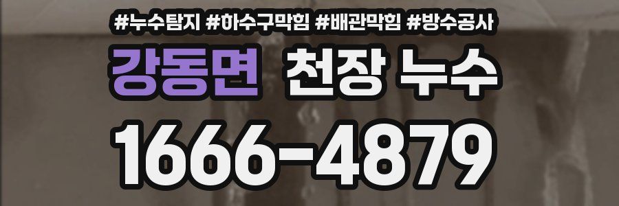 강동면 천장 누수