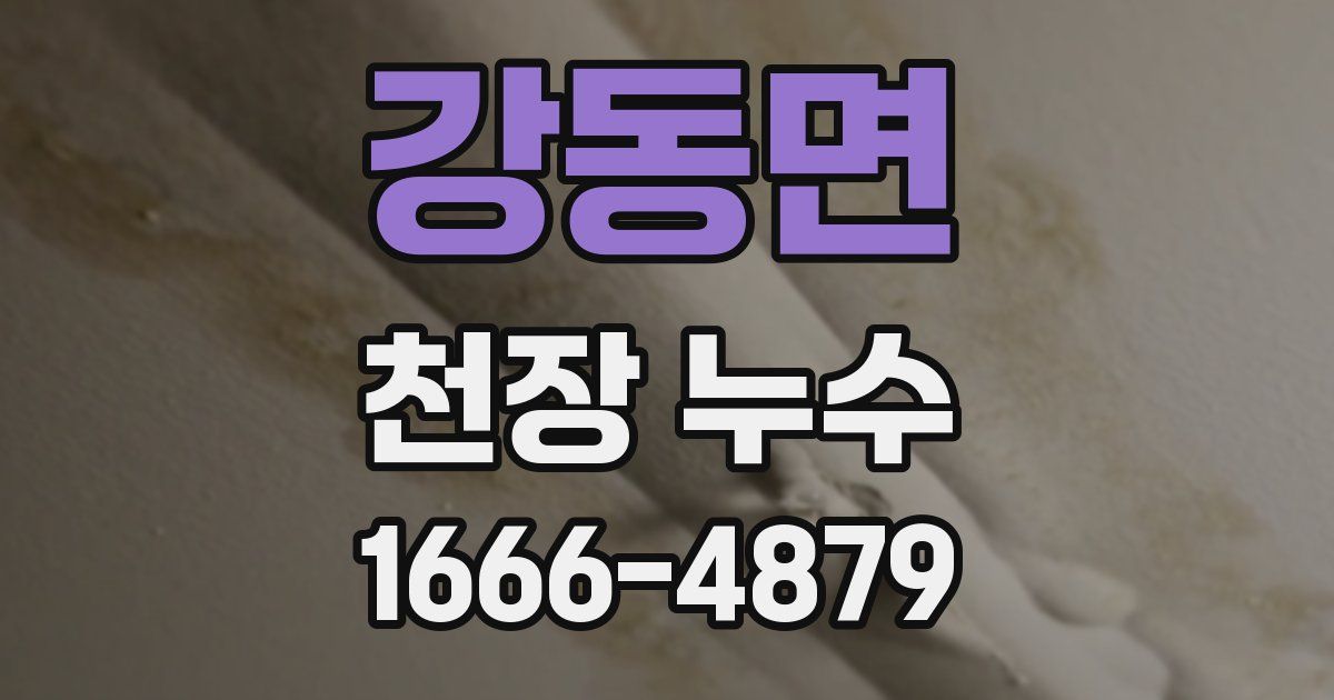 강동면 천장 누수
