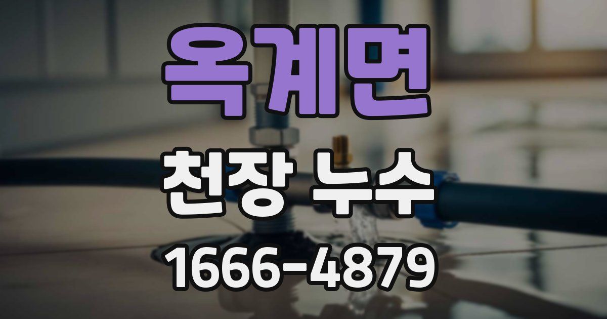 옥계면 천장 누수