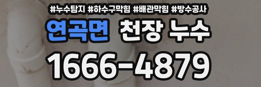 연곡면 천장 누수