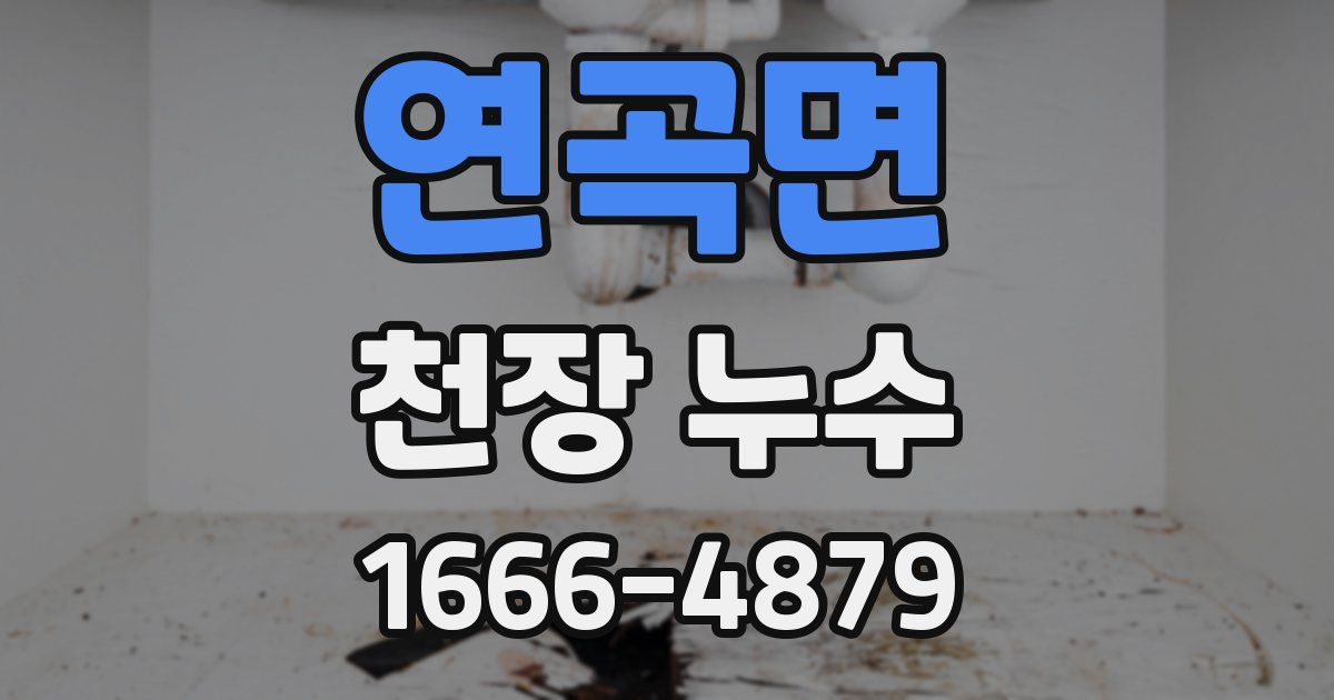 연곡면 천장 누수