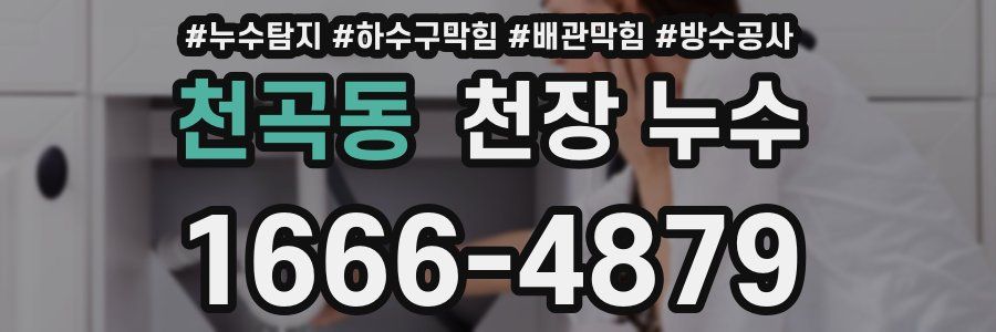 천곡동 천장 누수