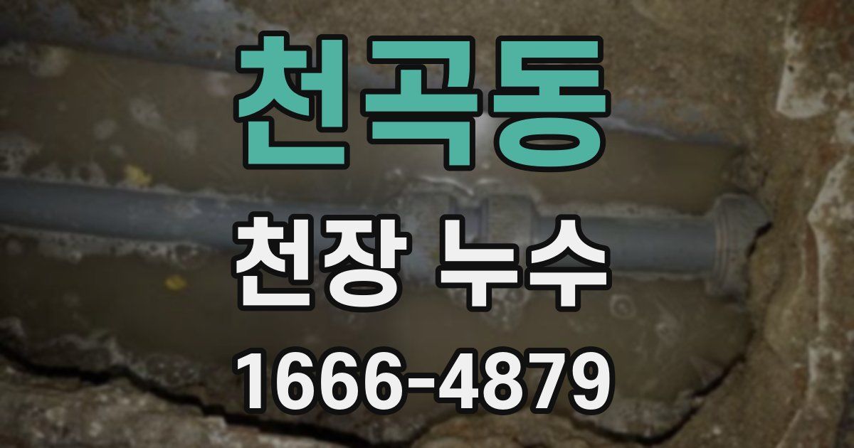 천곡동 천장 누수