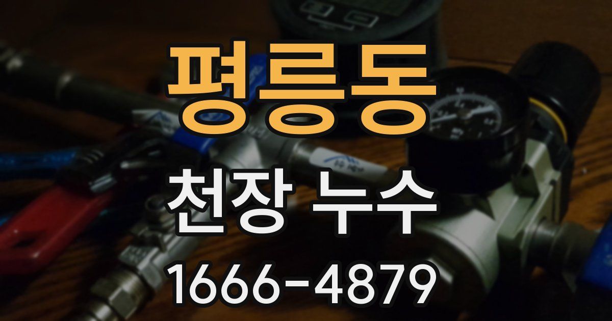 평릉동 천장 누수