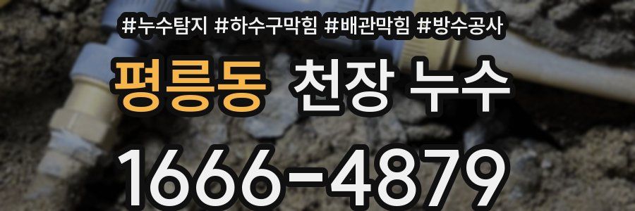 평릉동 천장 누수