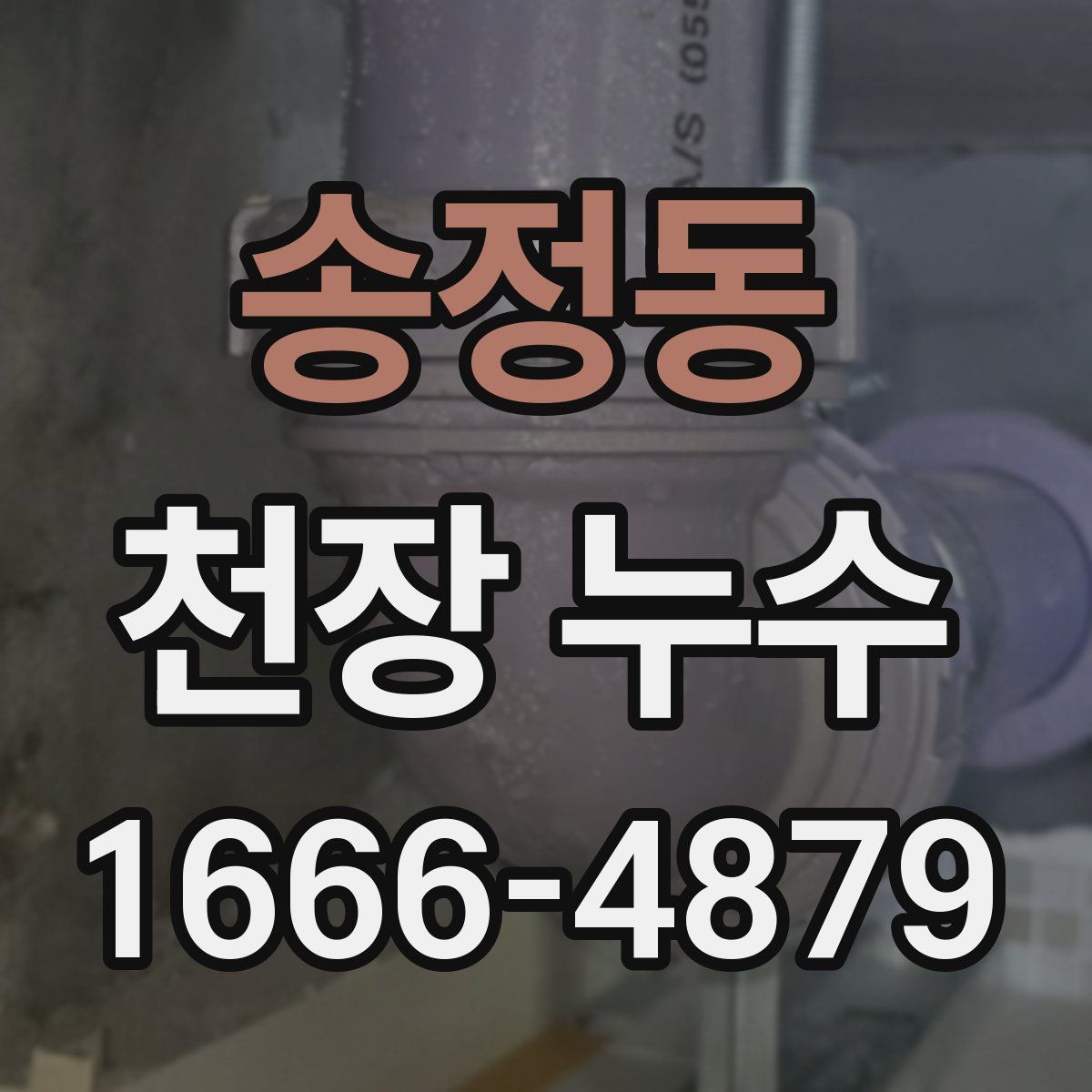 송정동 천장 누수