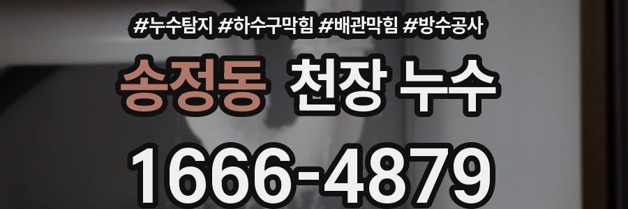 송정동 천장 누수