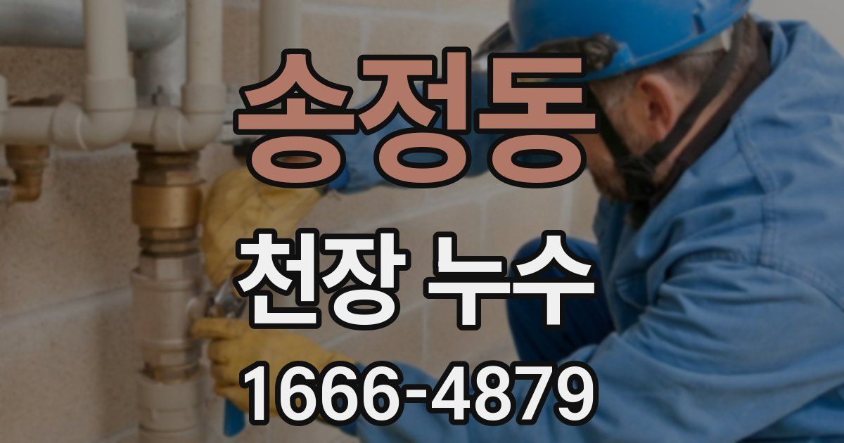 송정동 천장 누수