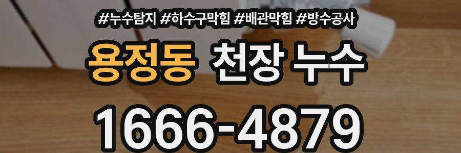 용정동 천장 누수