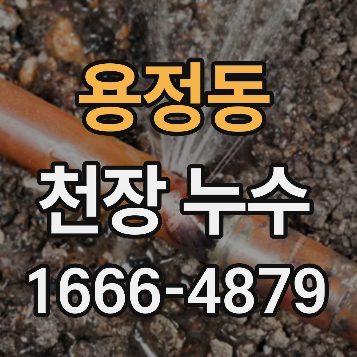 용정동 천장 누수