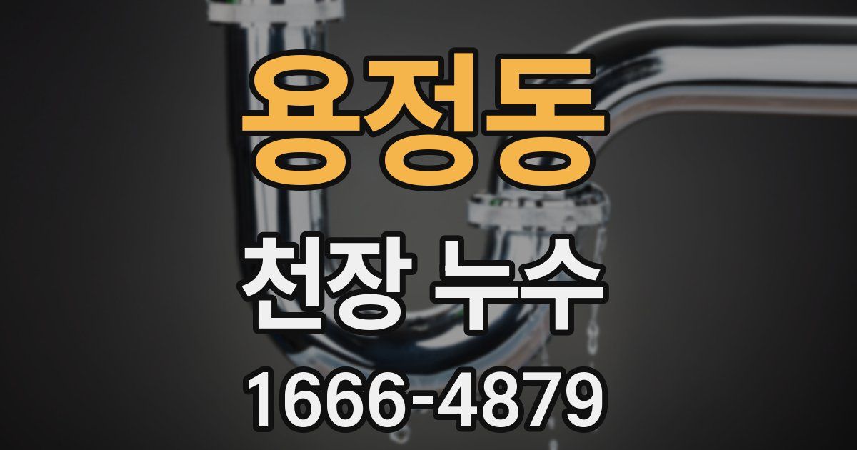 용정동 천장 누수