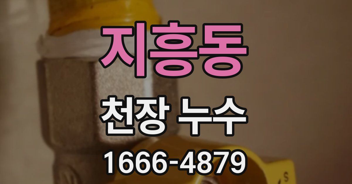 지흥동 천장 누수