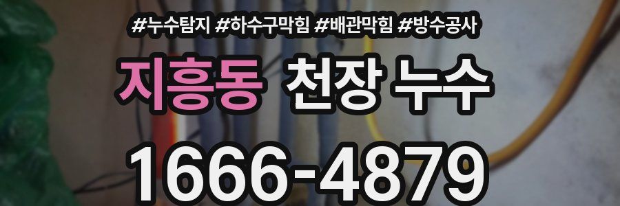 지흥동 천장 누수