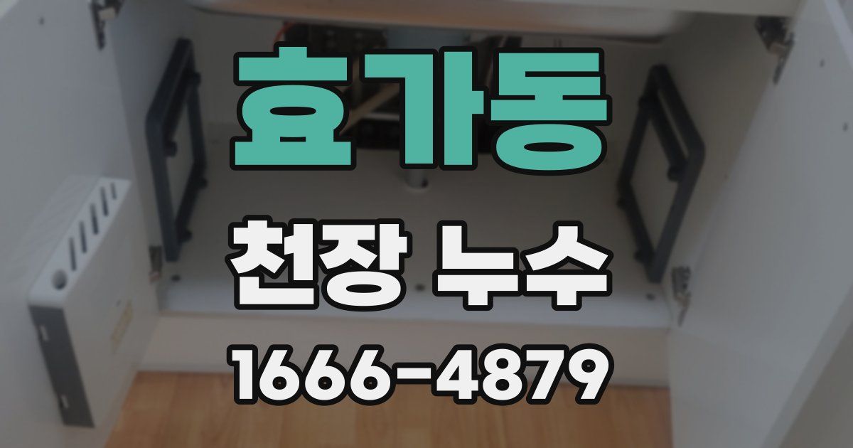효가동 천장 누수