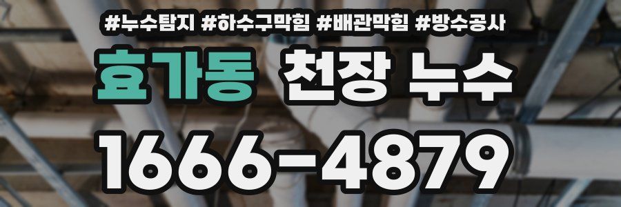 효가동 천장 누수