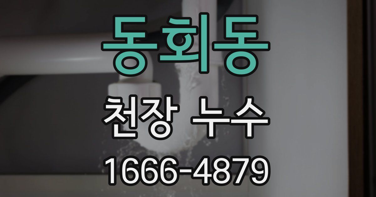 동회동 천장 누수