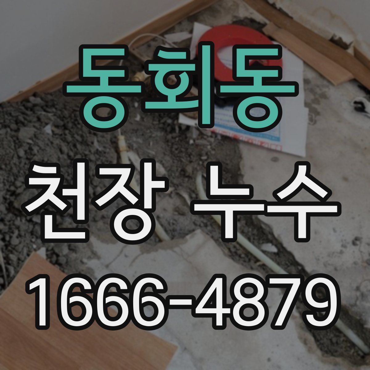 동회동 천장 누수