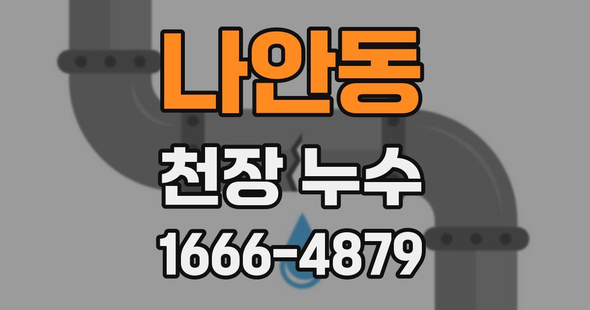 나안동 천장 누수